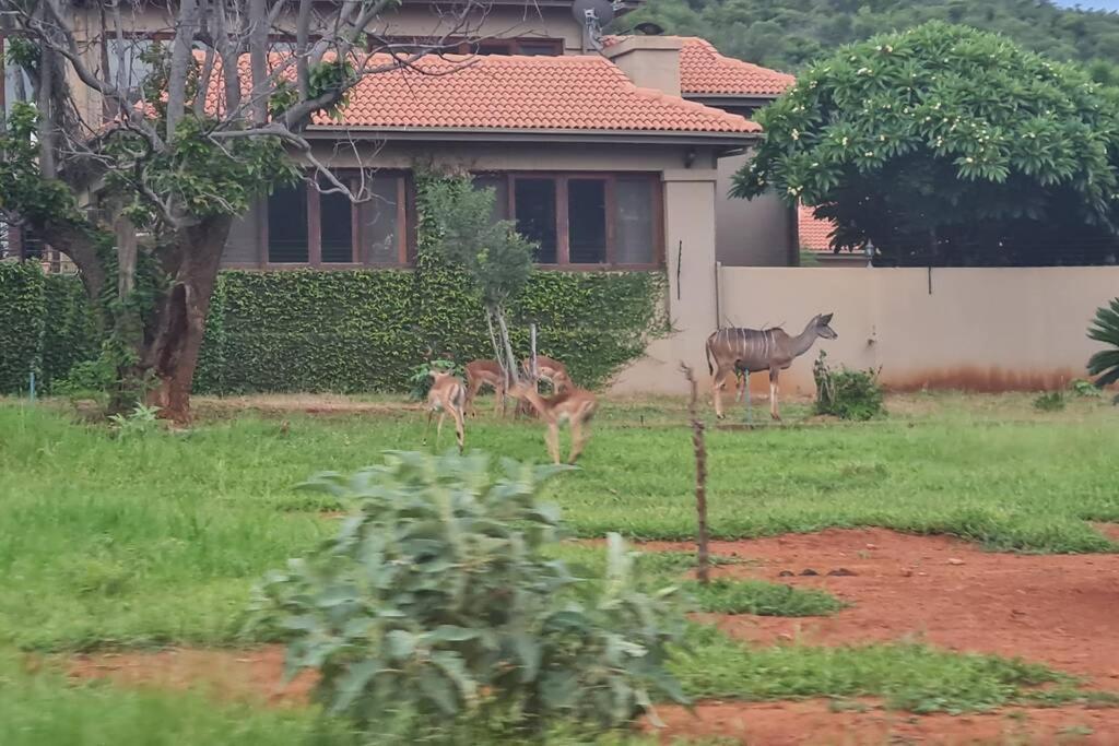 66 Sharalumbi Wildlife Estate Apartment Lydenburg Exterior photo